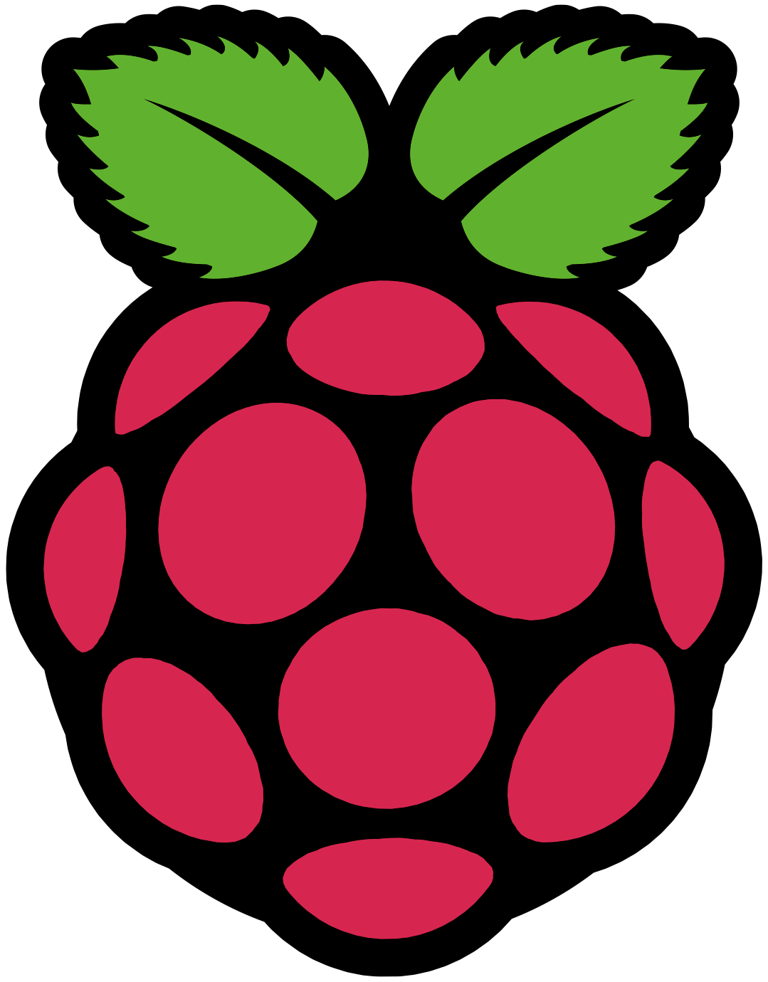 Raspberry Pi